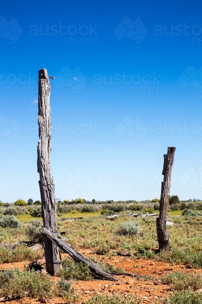 weathered old posts against blue sky - Australian Stock Image