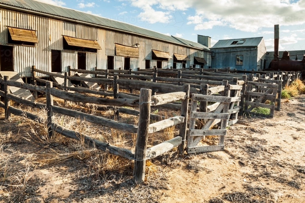 Weathered timber stock yards at the side of an Australian shearing shed - Australian Stock Image