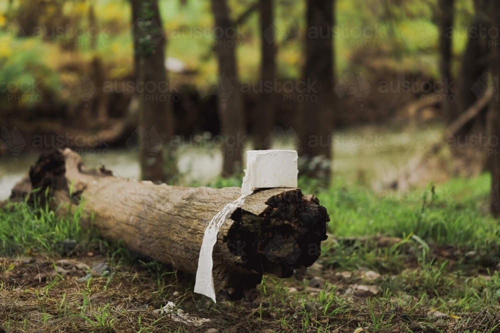 Weathered toilet roll sitting on log at nature camp ground - Australian Stock Image