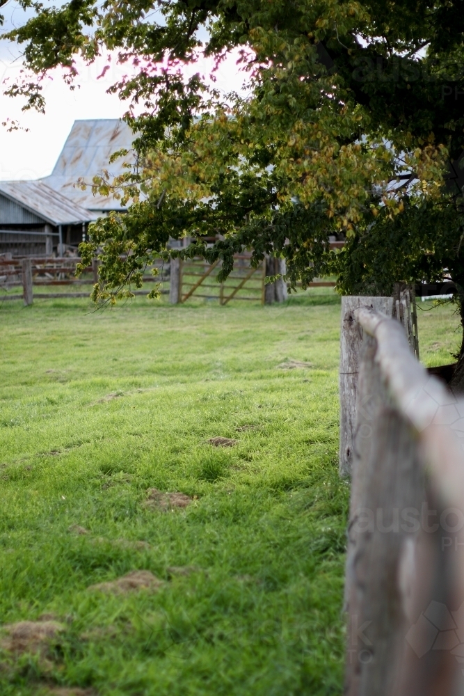 Weathered wooden fence with a tree and work shed in the background - Australian Stock Image