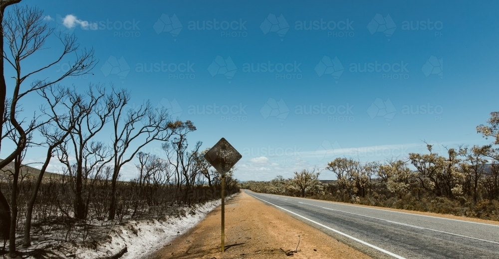 West Australian Bushfire aftermath along outback road - Australian Stock Image