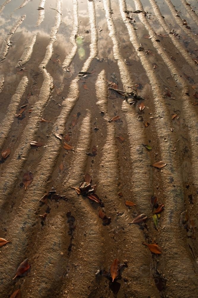 Wet rippled beach sand with reflections and flare - Australian Stock Image