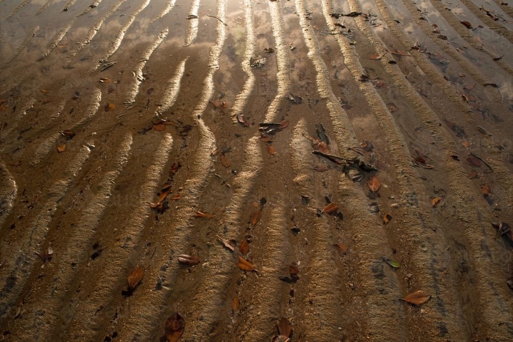 Wet rippled beach sand with reflections and flare - Australian Stock Image