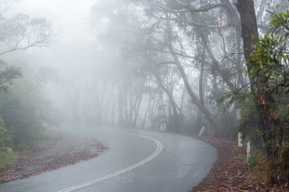 Wet road curving through fog - Australian Stock Image