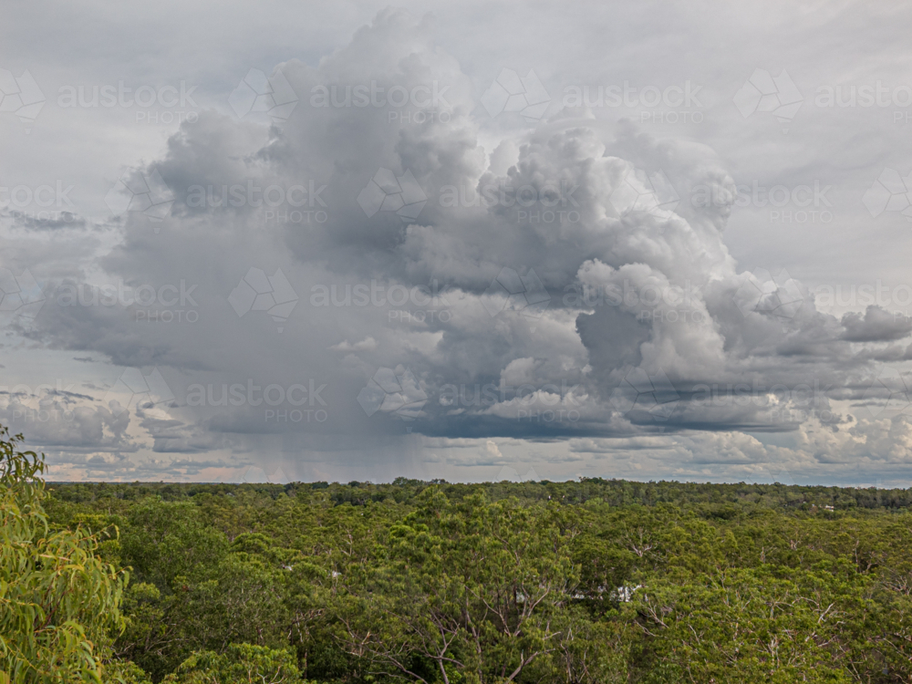 Image of Wet season rural Darwin - Austockphoto