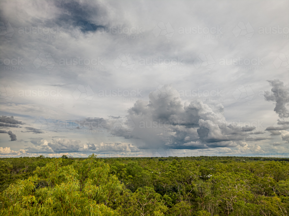 Image of Wet season rural Darwin - Austockphoto