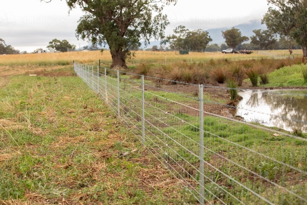 Wetland area fenced out on a farm - Australian Stock Image