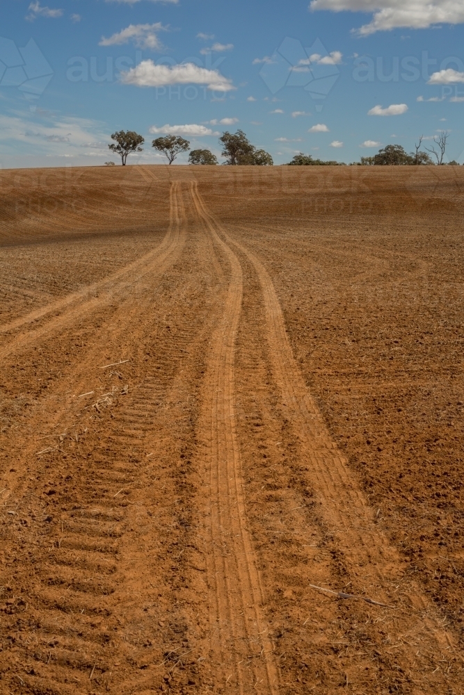 Wheel tracks across a ploughed paddock - Australian Stock Image