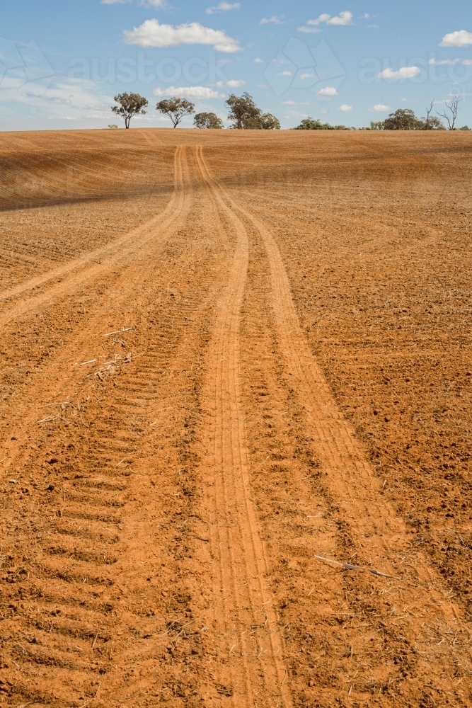 Wheel tracks across a ploughed paddock - Australian Stock Image