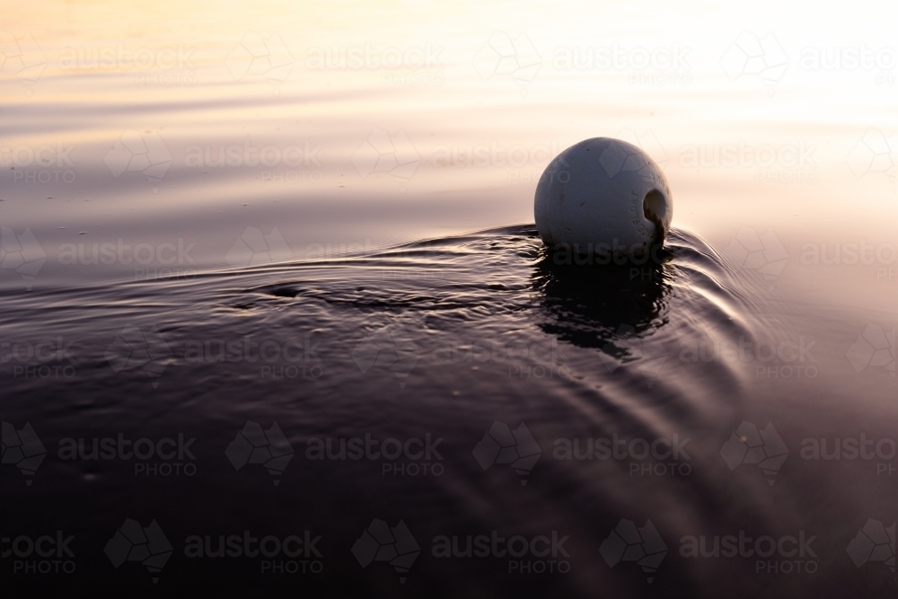 White buoy floating on water in evening - Australian Stock Image