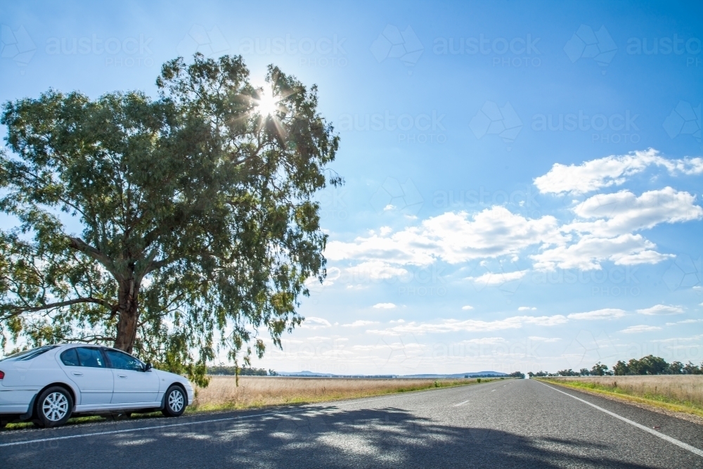 White car beside tree and straight country road - Australian Stock Image