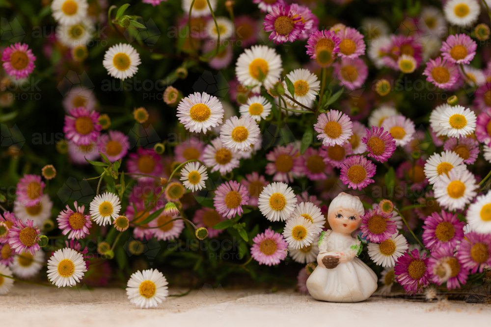 White female figurine in front of white, pink, and yellow small daisies - Australian Stock Image