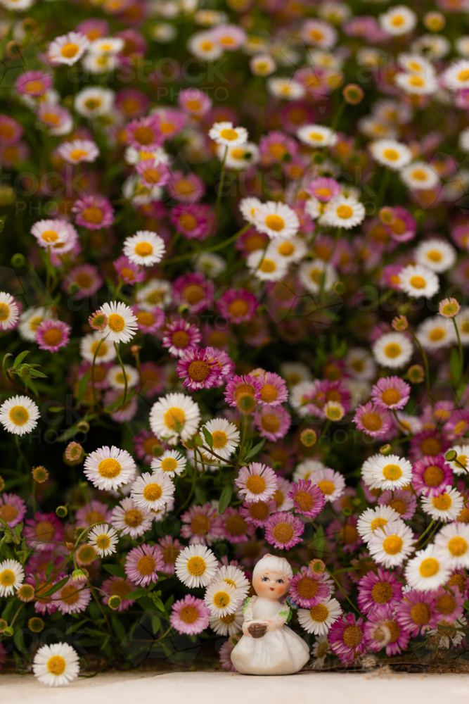 White female figurine in front of white, pink, and yellow small daisies - Australian Stock Image