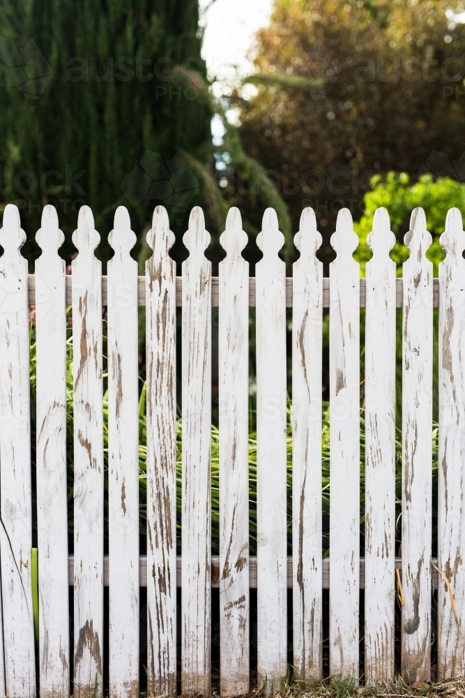 White picket fence and garden - Australian Stock Image