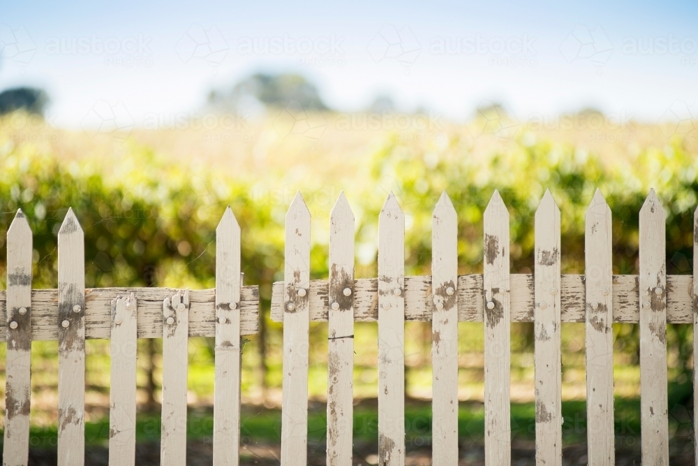 White picket fence - Australian Stock Image