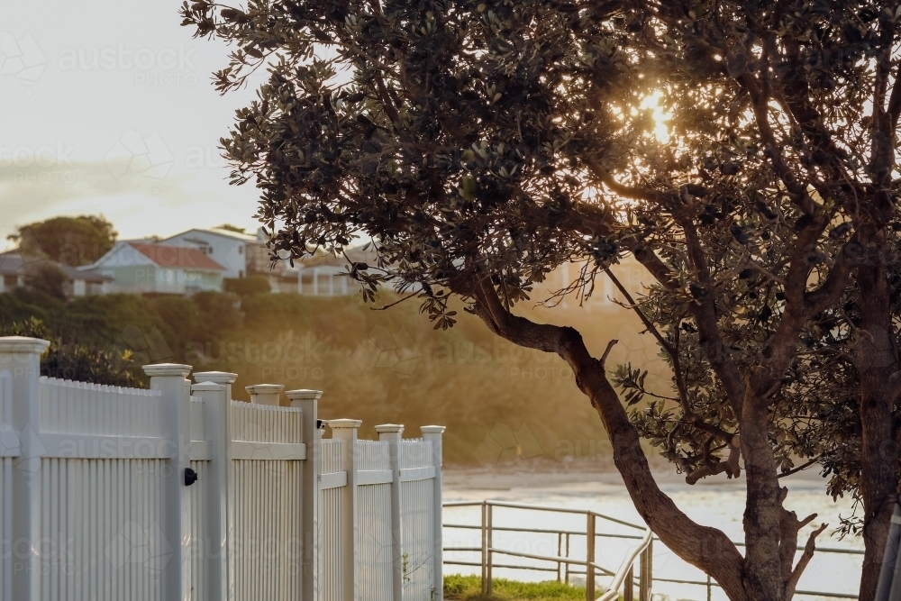 White picket fence by the sea beathed in golden afternoon sunlight - Australian Stock Image