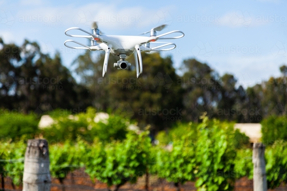 White remotely piloted aircraft drone hovering above vineyard - Australian Stock Image