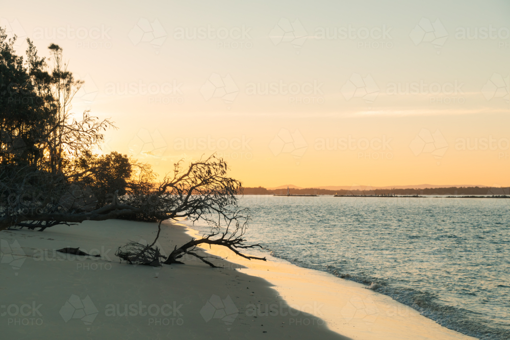 Whiting Beach, Yamba at sunset - Australian Stock Image