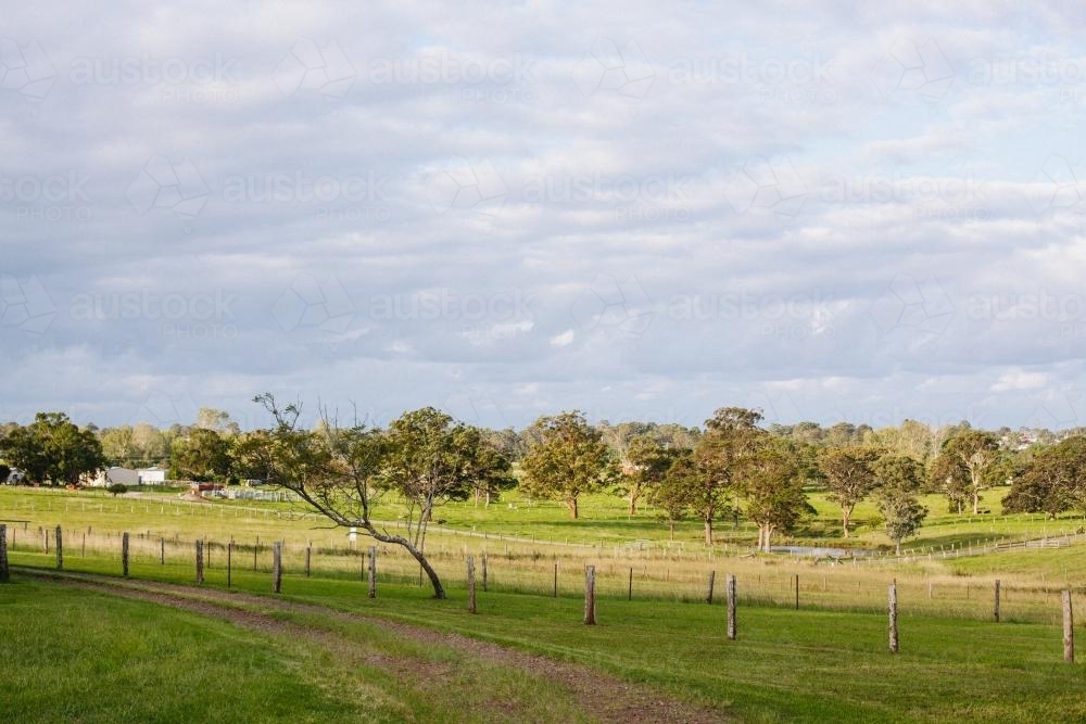 Wide paddocks with distant clouds - Australian Stock Image