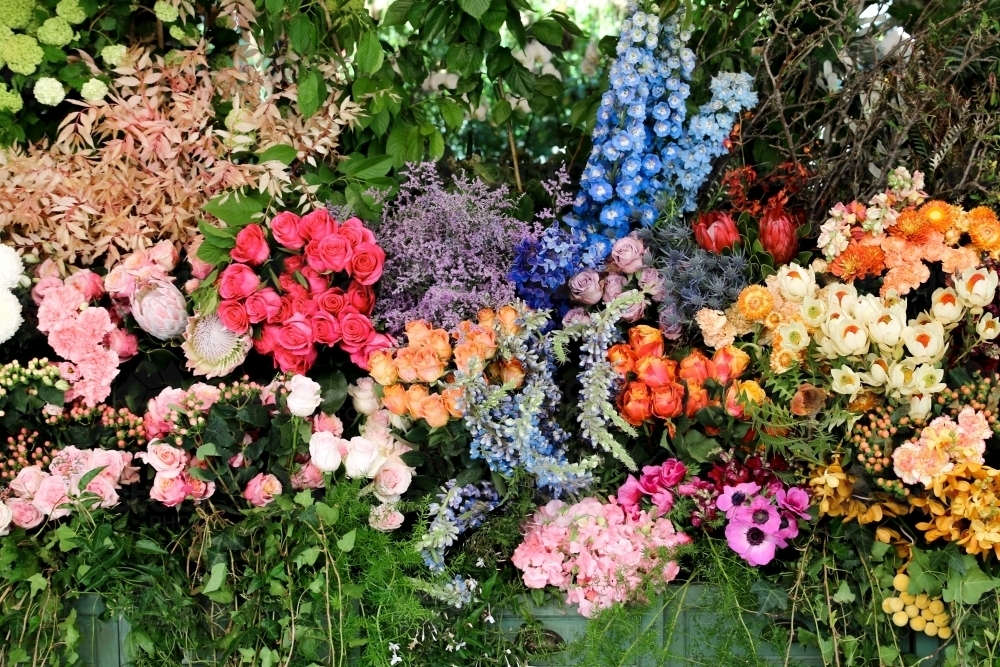 Wide shot of colourful floral arrangement - Australian Stock Image