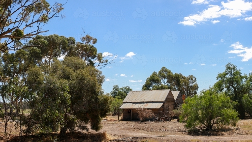 wide view of an old abandoned farmers shack on a property surrounded by native trees and dry earth - Australian Stock Image