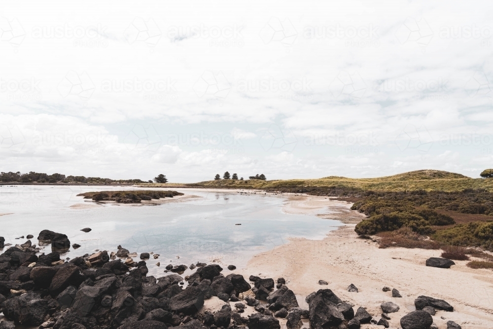 widlife habitat by the sea and rocks - Australian Stock Image