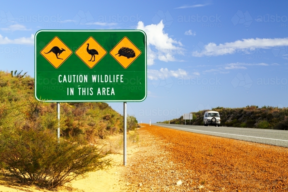 Wildlife warning signs along a highway. - Australian Stock Image