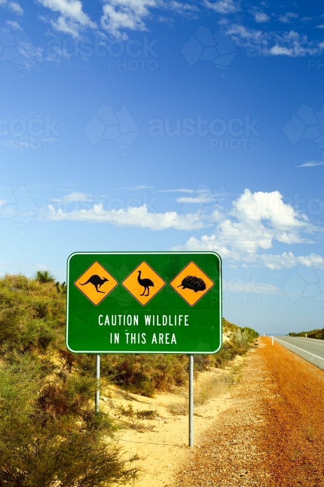 Wildlife warning signs along a highway. - Australian Stock Image