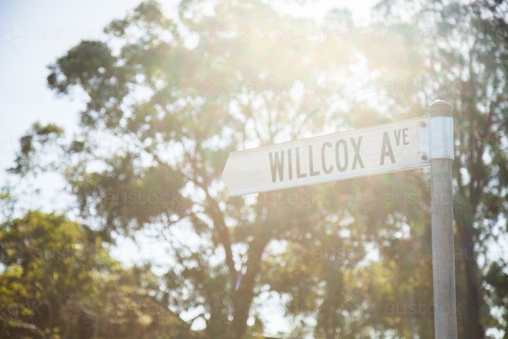 Willcox Avenue street sign - Australian Stock Image