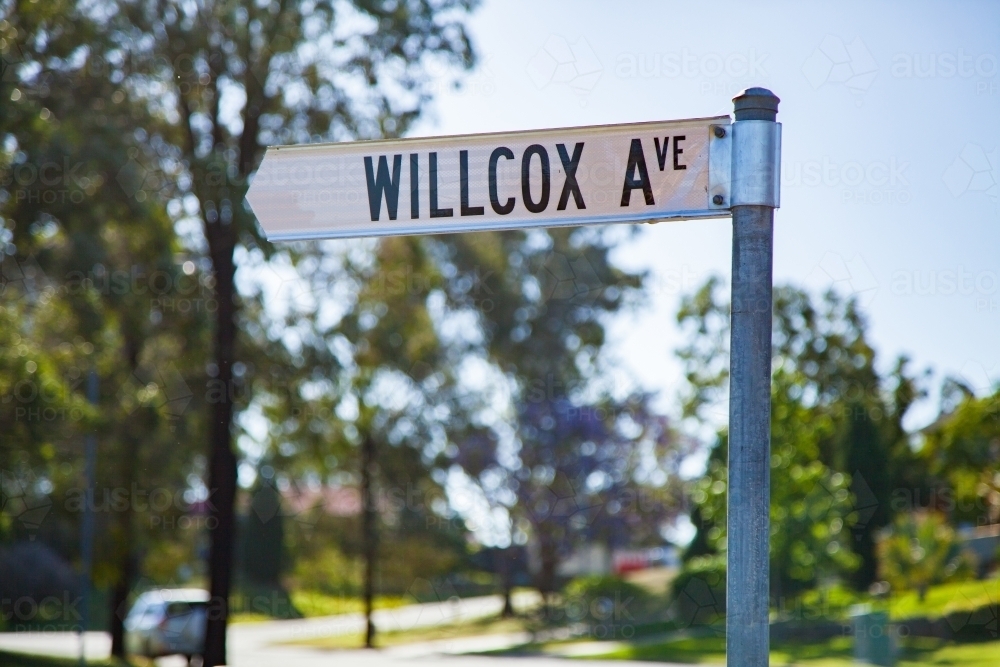 Willcox Avenue street sign - Australian Stock Image