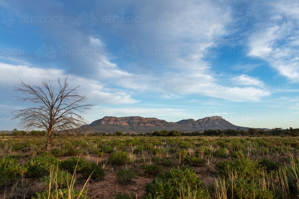 Wilpena Pound in early morning light - Australian Stock Image