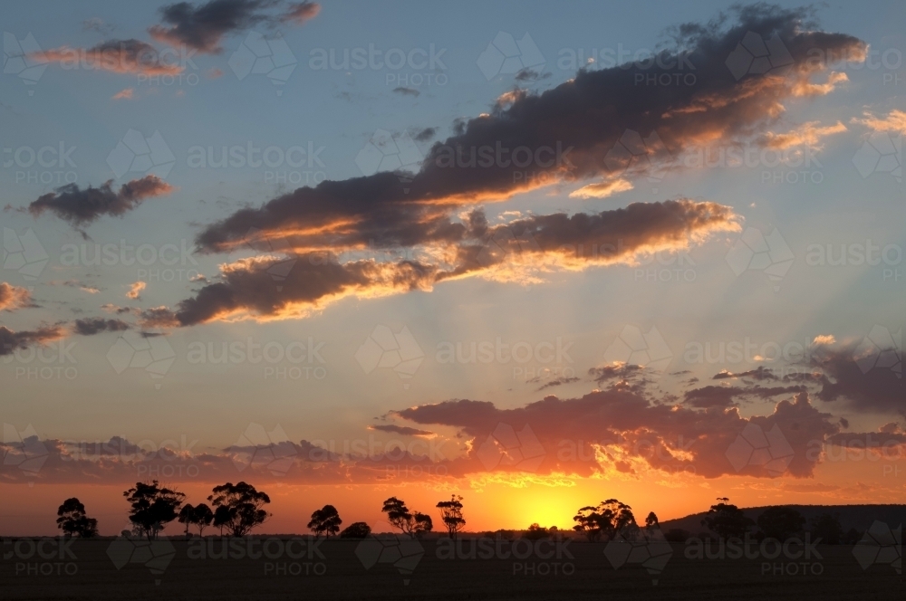 Wimmera Sunset over paddocks - Australian Stock Image