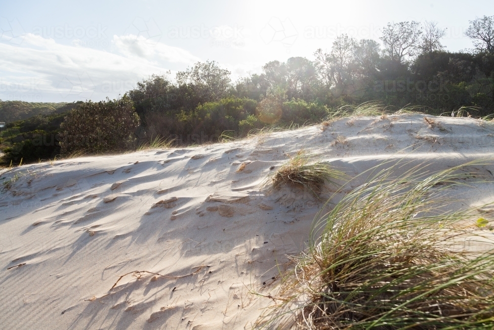 Wind blowing sand over white dunes with sea grass - Australian Stock Image
