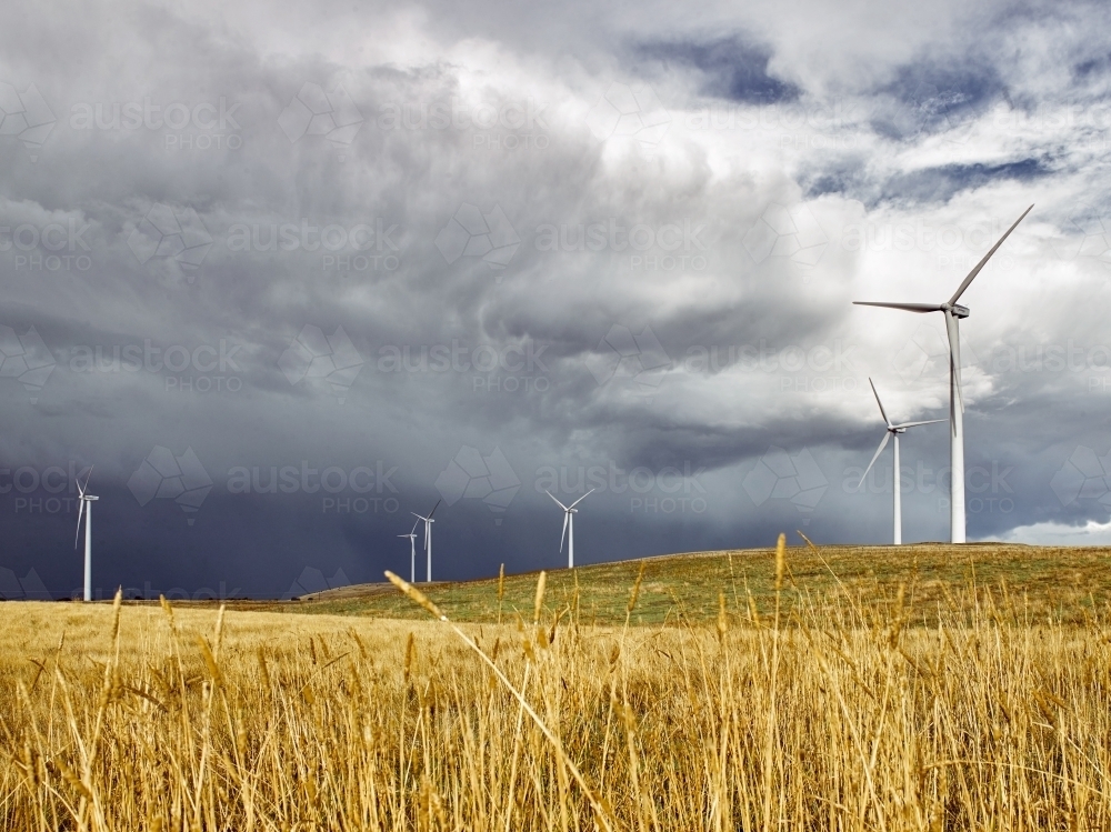 Wind farm in paddock with incoming storm - Australian Stock Image