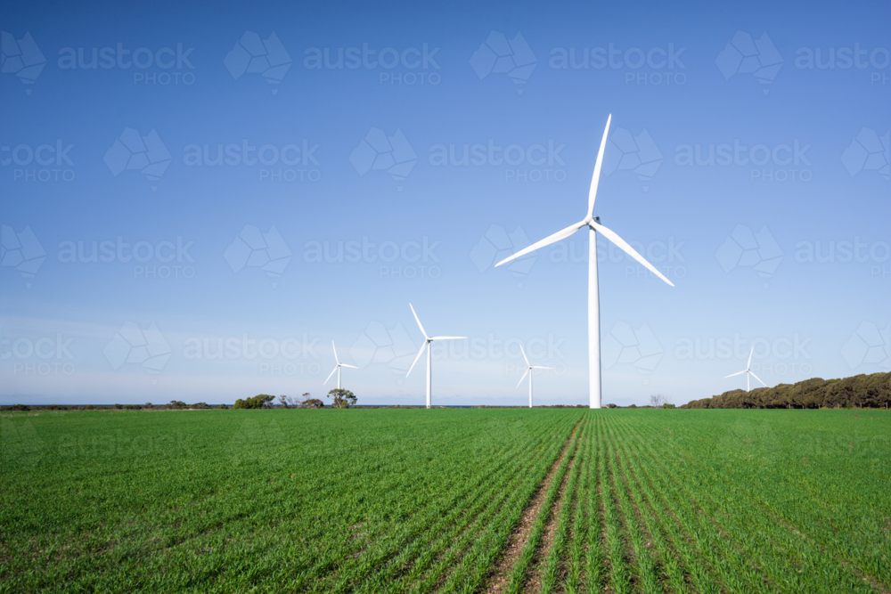 Wind Farm in South Australia - Australian Stock Image