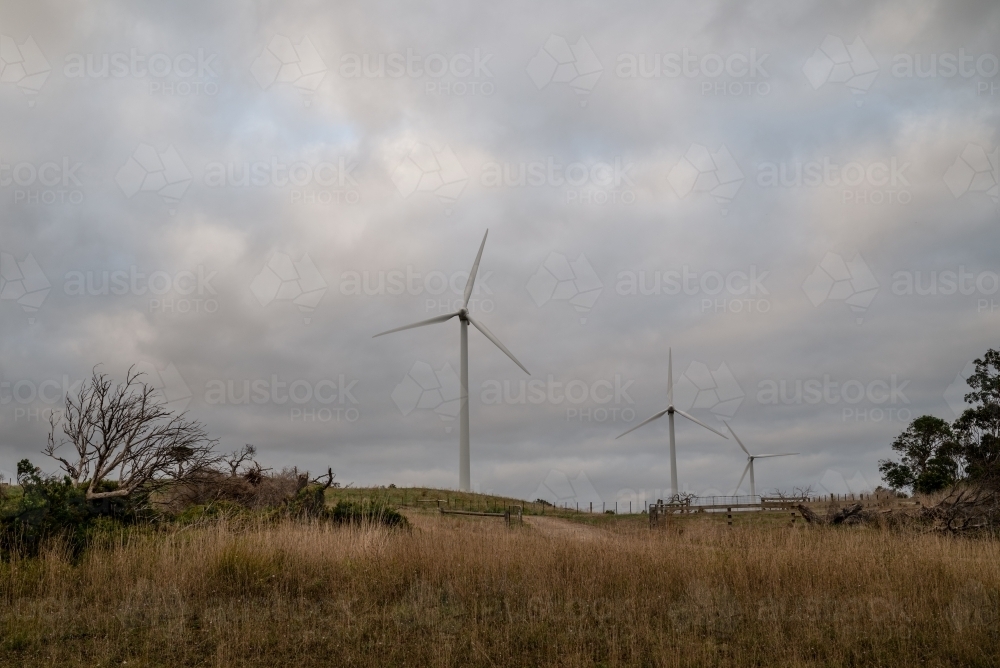 Wind Farm Landscape on a Cloudy Day - Australian Stock Image