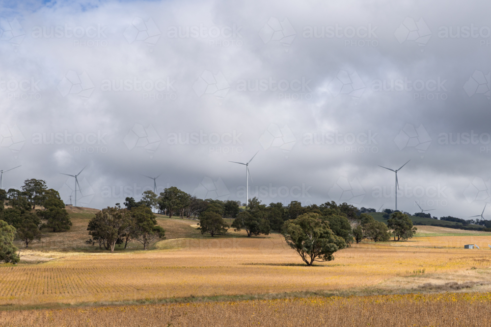 wind farm on farmland in country New South Wales - Australian Stock Image