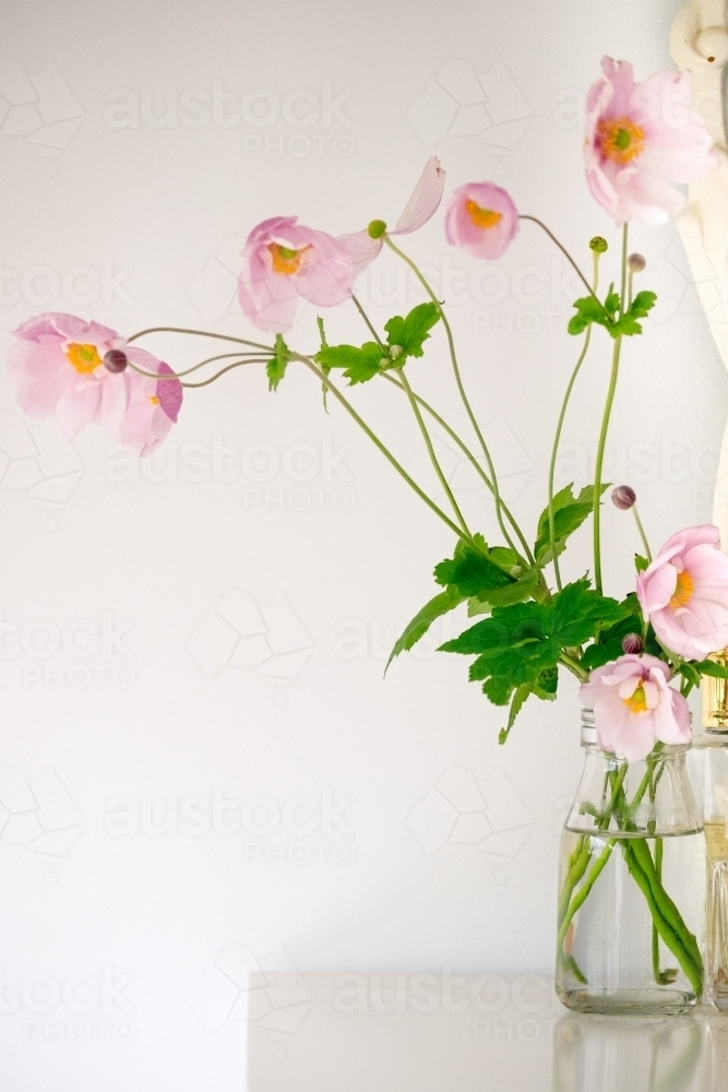 Wind flowers in a small vase brightening up a room - Australian Stock Image