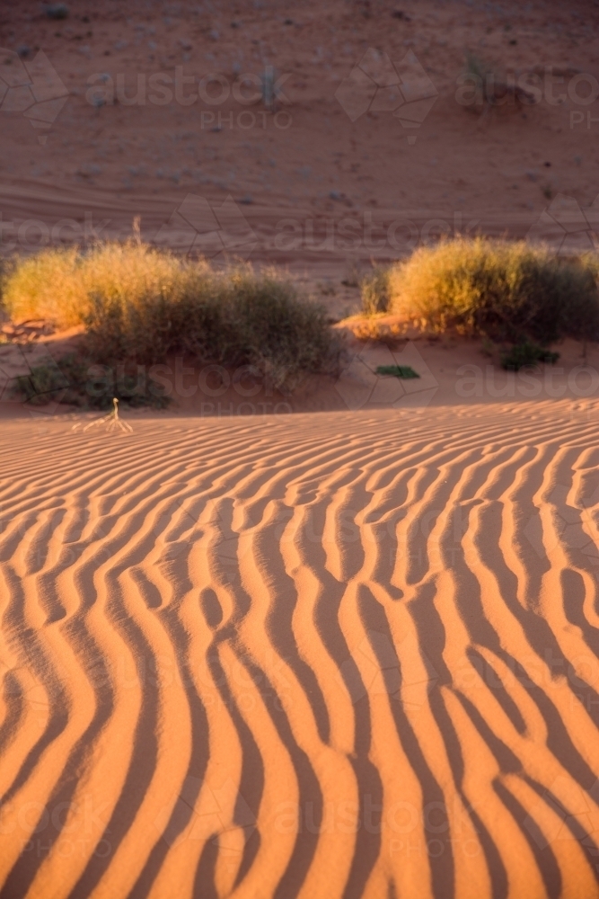 Wind ripples in red sand dune - Australian Stock Image