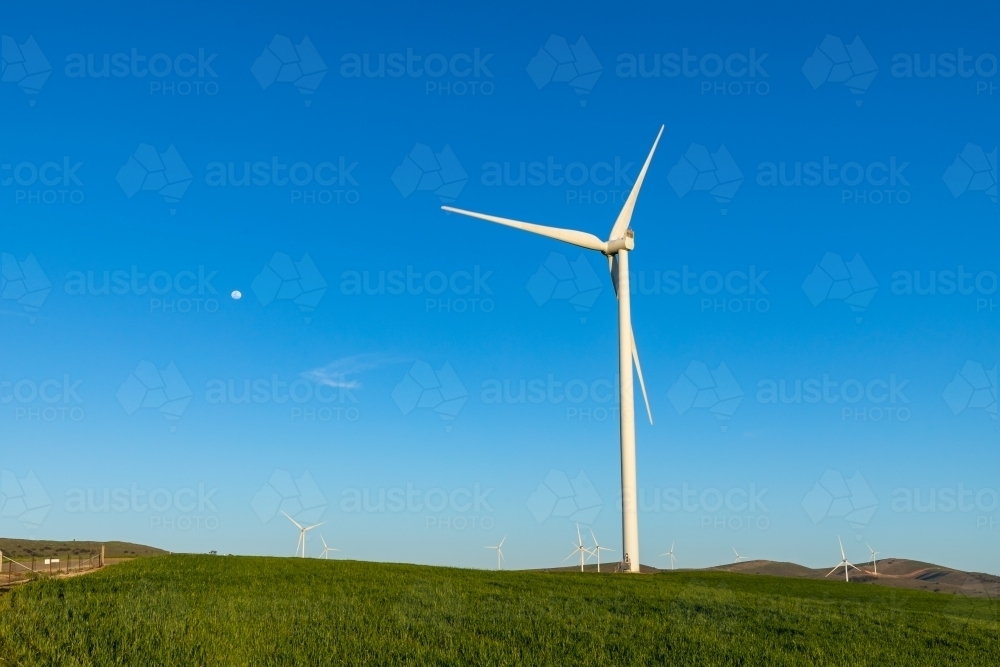 wind turbine against blue sky - Australian Stock Image