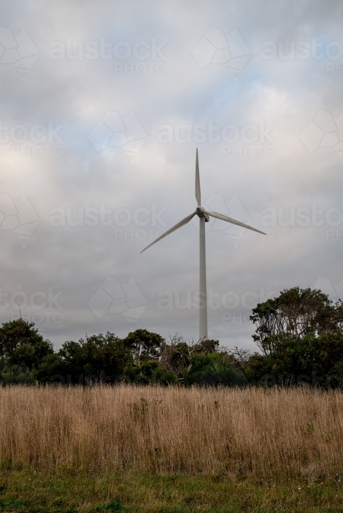 Wind turbine in a paddock with dead tall grass - Australian Stock Image