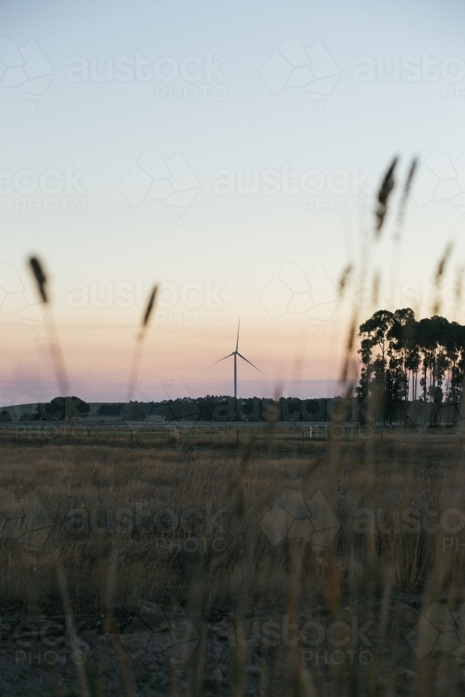 wind turbine in the countryside on dusk with fauna foreground details - Australian Stock Image