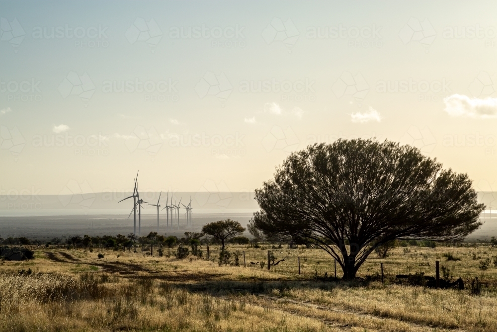 Wind turbines and dirt road at a wind farm. - Australian Stock Image