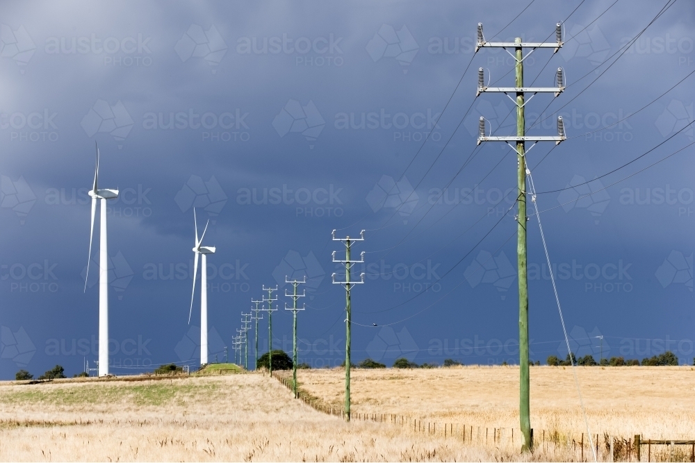 Wind turbines and power lines in a paddock - Australian Stock Image
