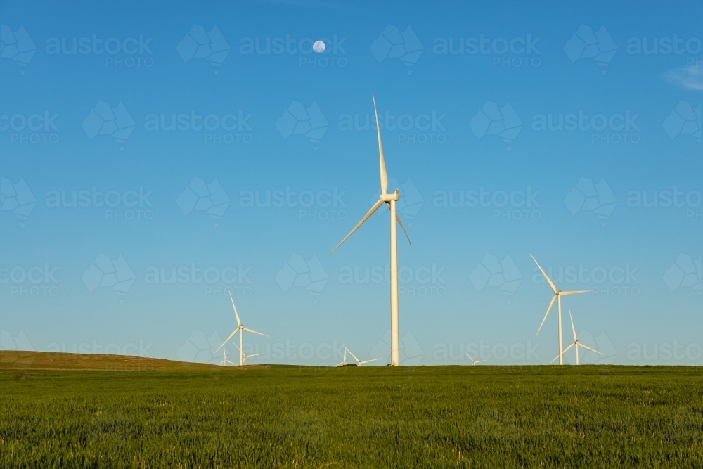wind turbines in farmland against blue sky - Australian Stock Image