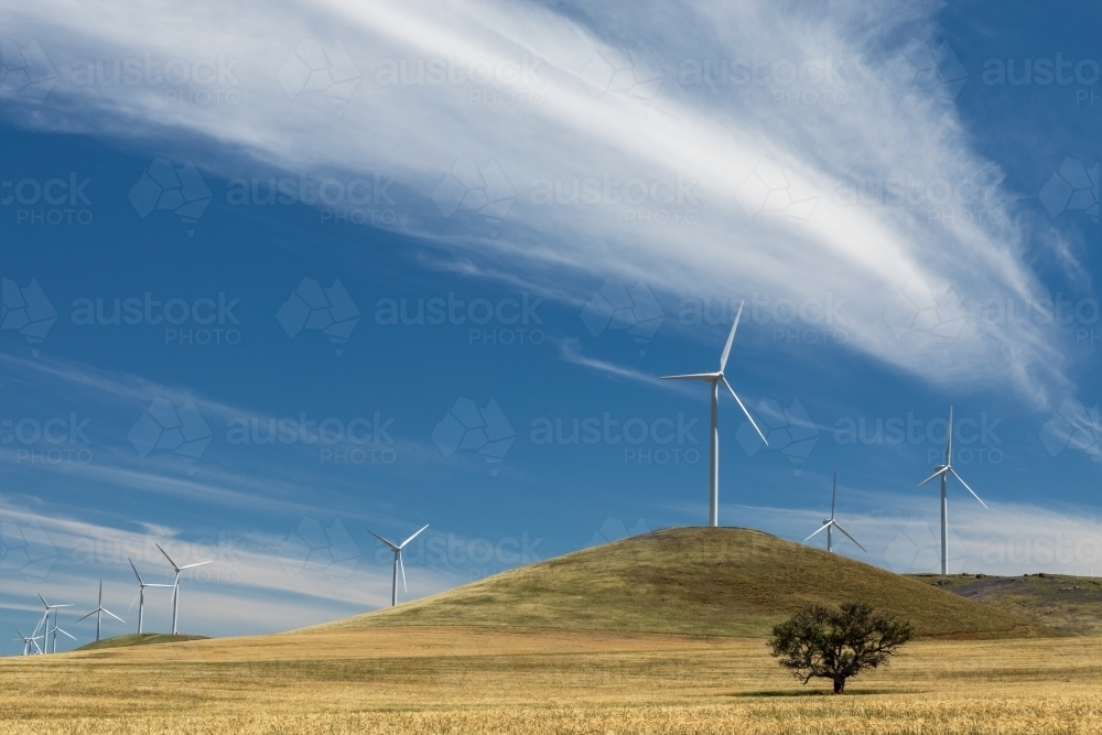 wind turbines on hill line - Australian Stock Image