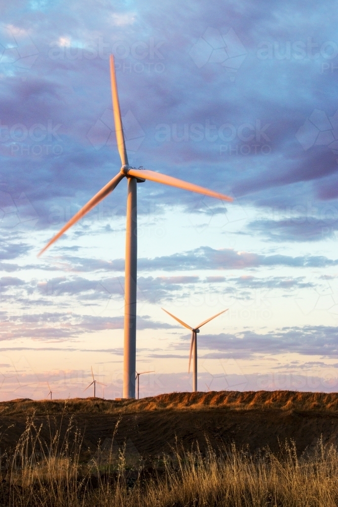 Wind turbines reflecting light from sunset - Australian Stock Image