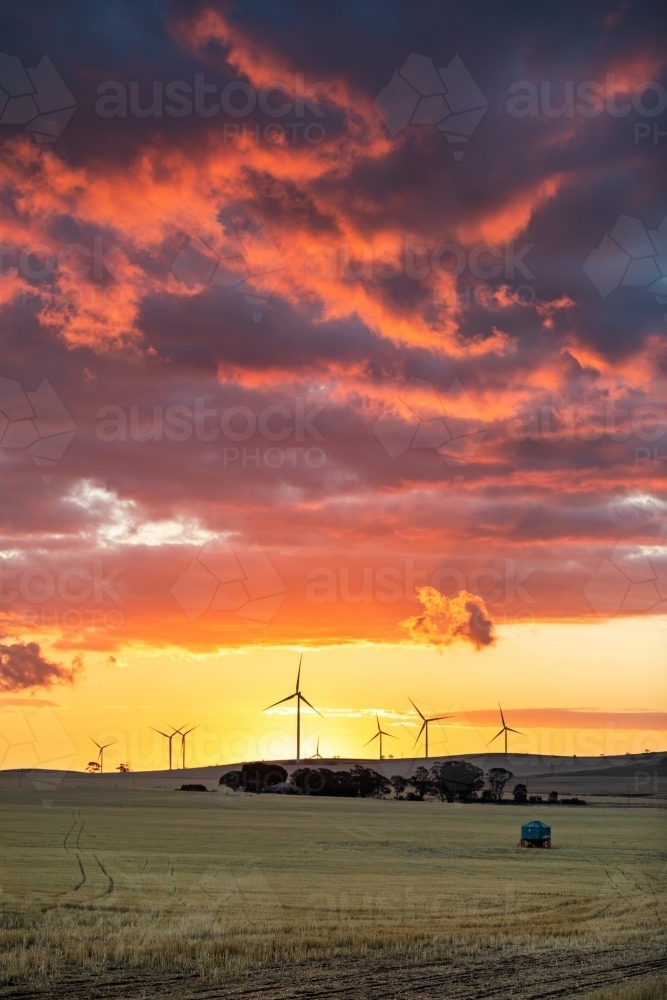 wind turbines silhouetted against sunset, vertical - Australian Stock Image