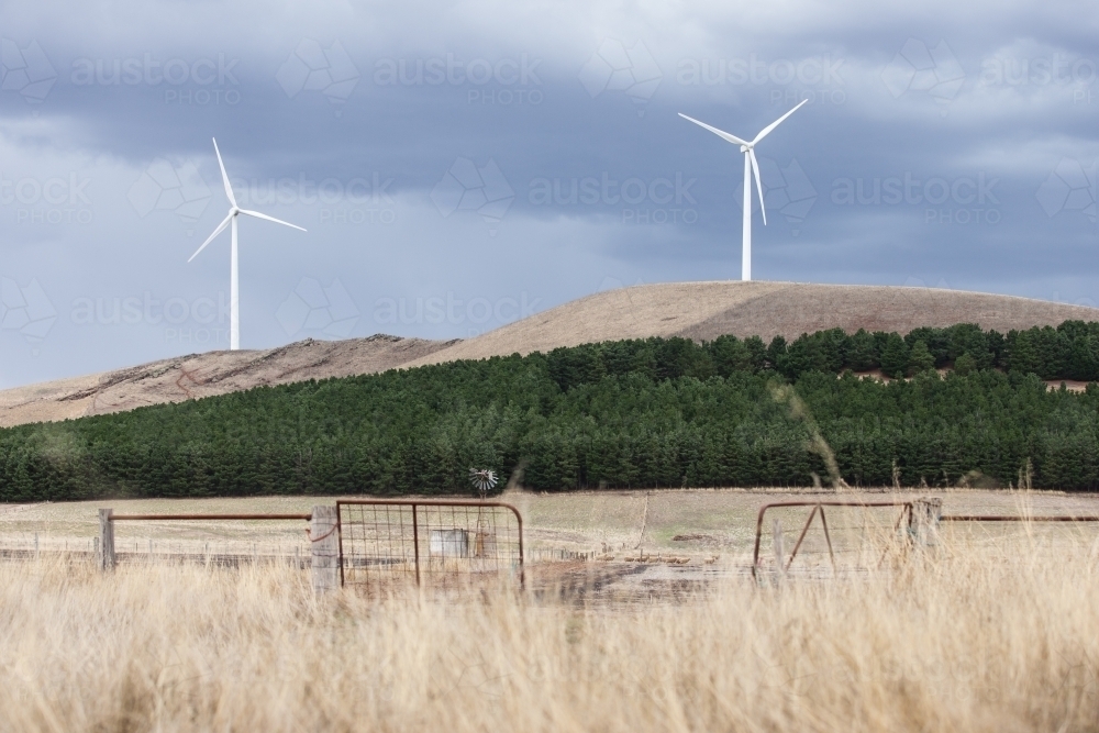 Wind turbines with paddocks and gate in foreground - Australian Stock Image