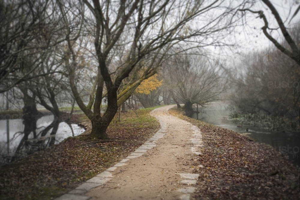 Winding path through gardens on a misty morning - Australian Stock Image